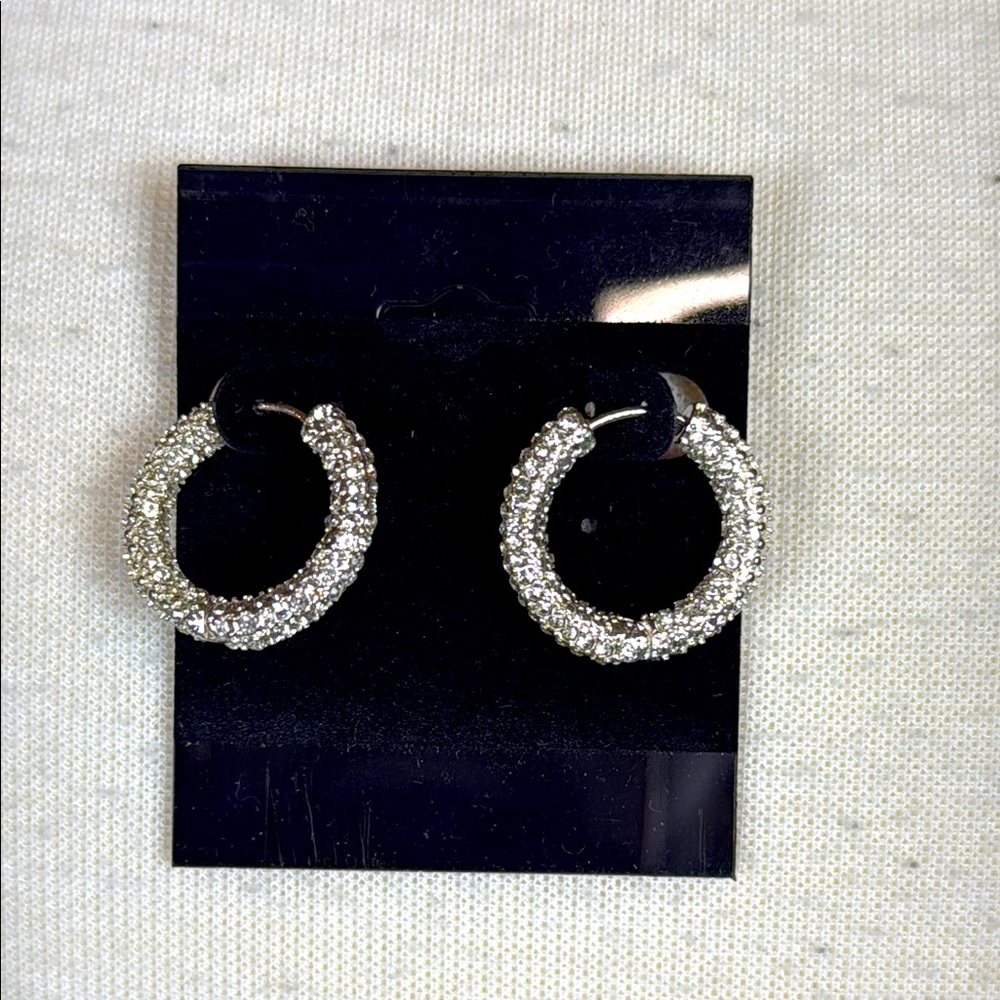 Banana Republic Elegant Silver Crystal Hoop Earrings